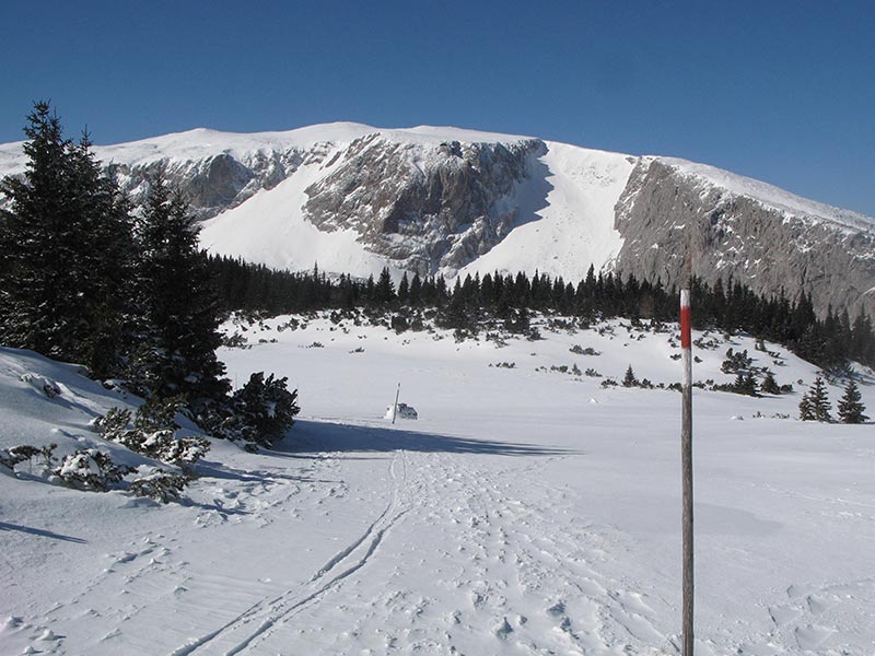 gruenschacher